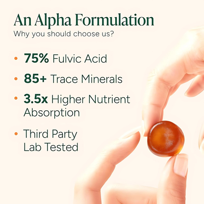 Alpha Shilajit Gummies
