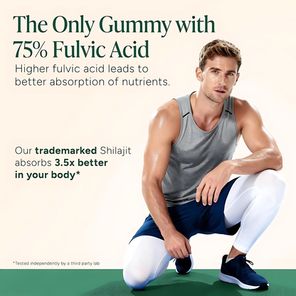 Alpha Shilajit Gummies